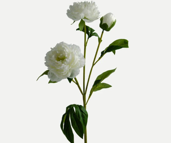 Botané White Peony buket