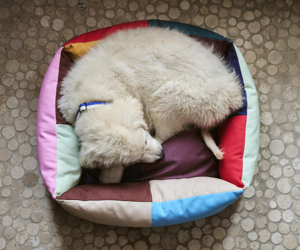 HAY Dogs Bed - Small - Multi