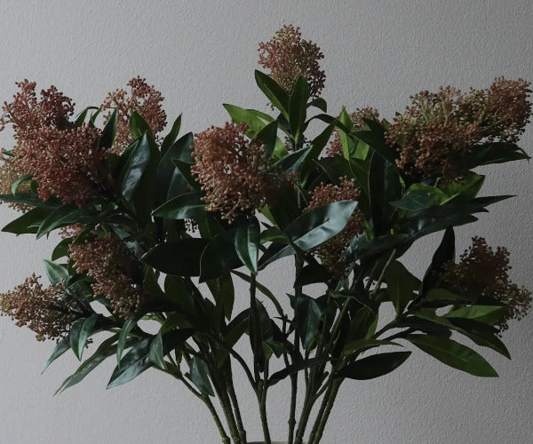 Botané Skimmia gren - lyserød