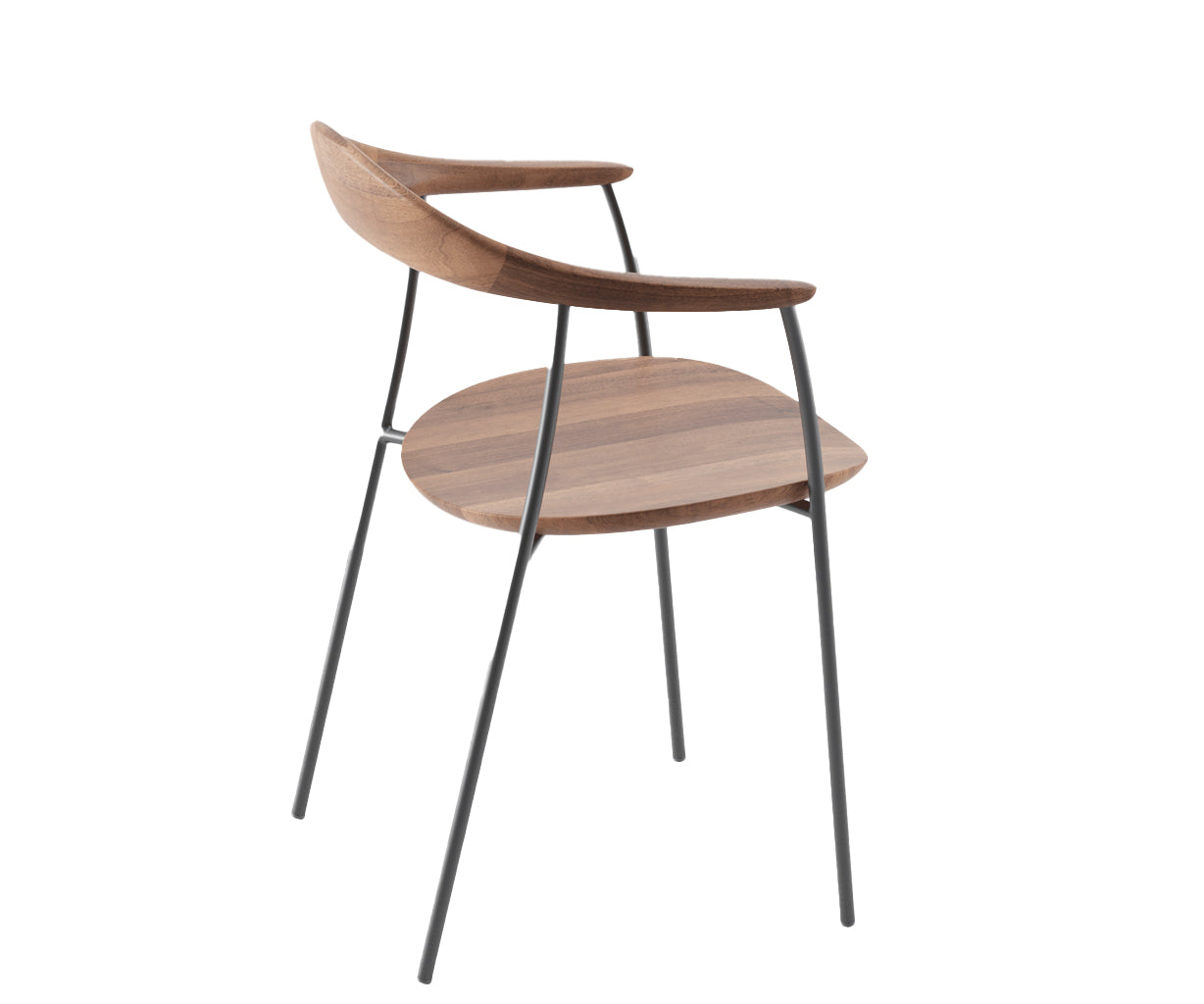 Artisan Neva Contour Chair - Valnød