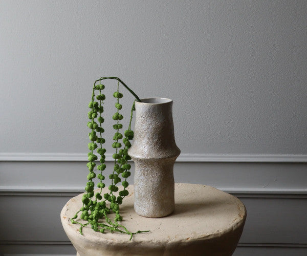 Botané Coral Fountain Amaranthus blomst - grøn