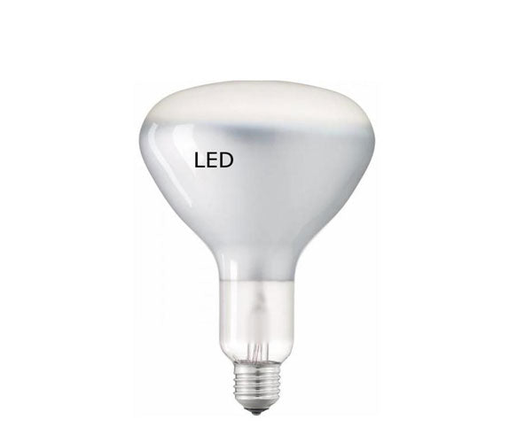 R125 240V LED pære