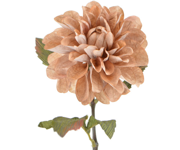 Deko Florale Dahlia - beige/pink