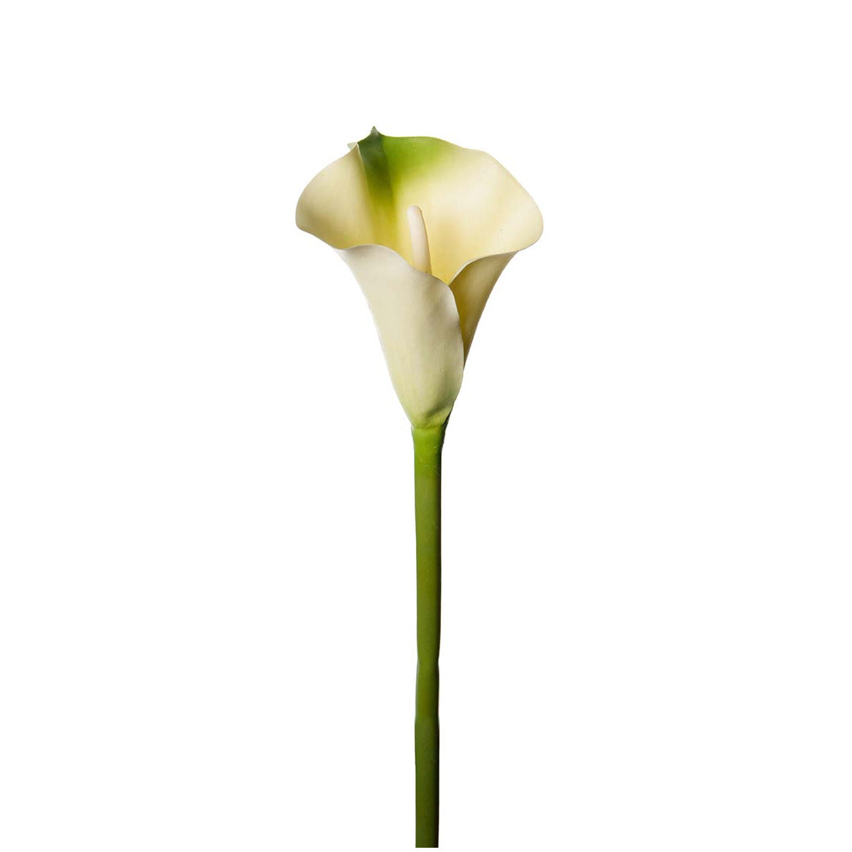 Mr Plant Calla blomst - hvid/grøn - 80