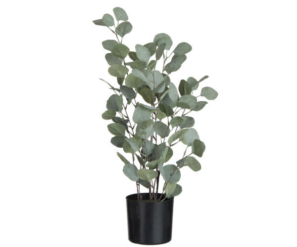 kunstig eucalyptus plante