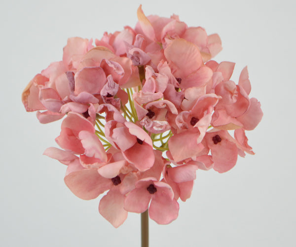 Deko Florale Hortensia - old pink - dried look