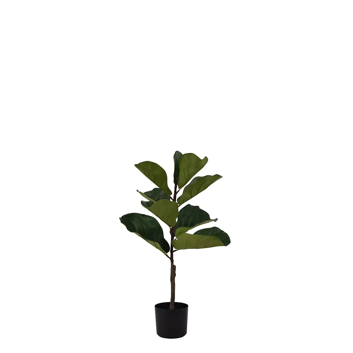 La Vida Kunstig Ficus Lyrata - 67