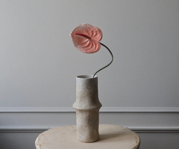 Botané Anthurium blomst - rosa