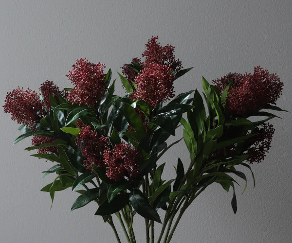 Botané Skimmia gren - lilla