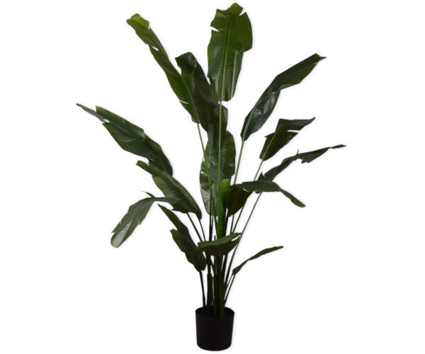 Silk-ka Strelitzia - 180 cm