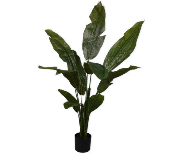 Silk-ka Strelitzia - 150 cm